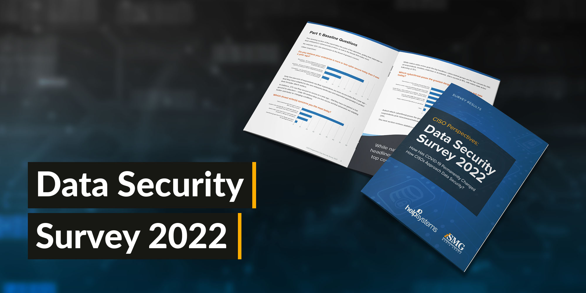Data Security Survey Reveals Organizations Are More Cybersecure Than a Year Ago, but Threats Are Growing