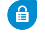 Data Security Icon