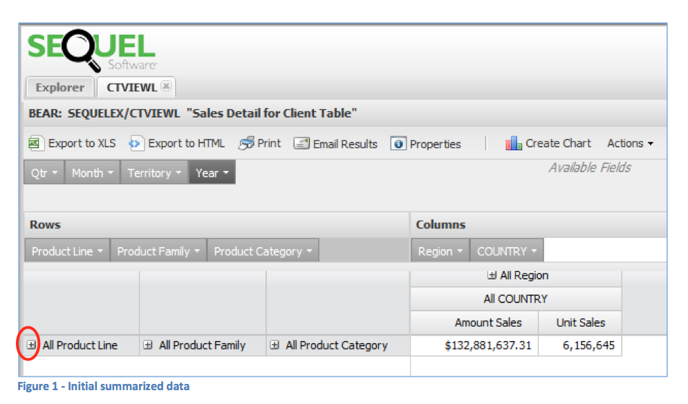 summarize your data view