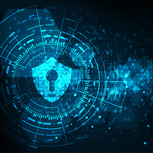 Data Security Suite Data Security