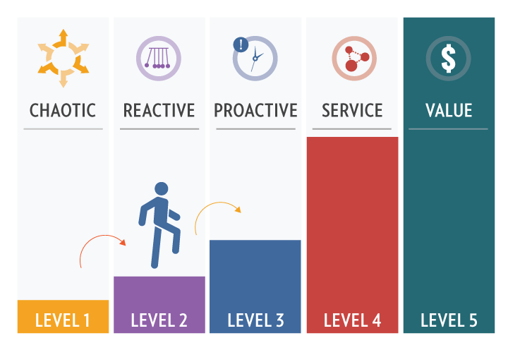 IT Maturity Model