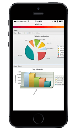 A mobile data access solution can be deployed on any mobile device