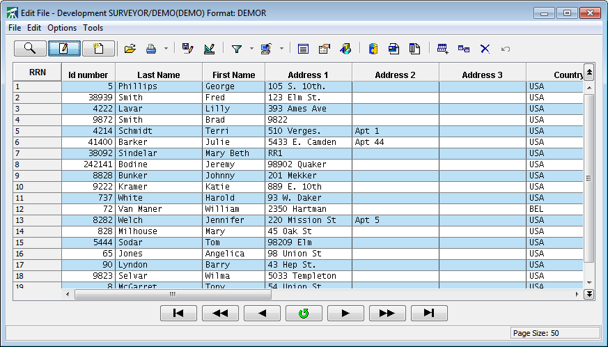Surveyor/400 File Editor Surveyor/400 File Editor